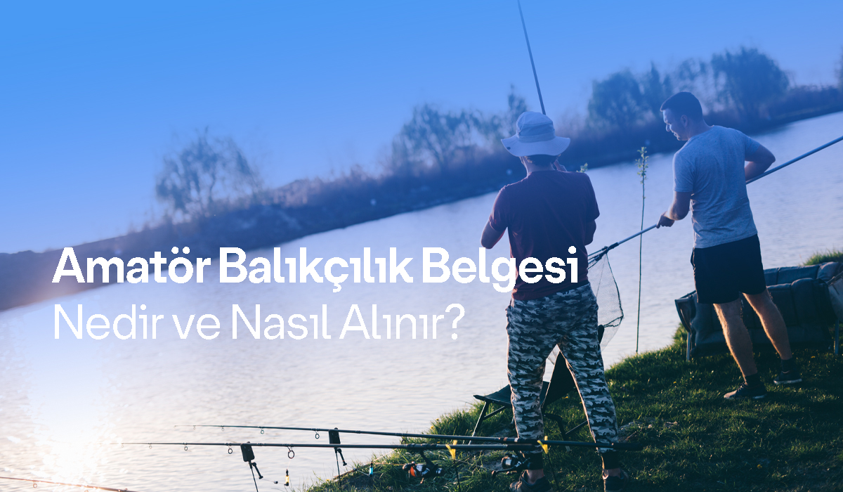 Türkiye’de Amatör Balıkçılık Belgesi Nedir ve Nasıl Alınır?