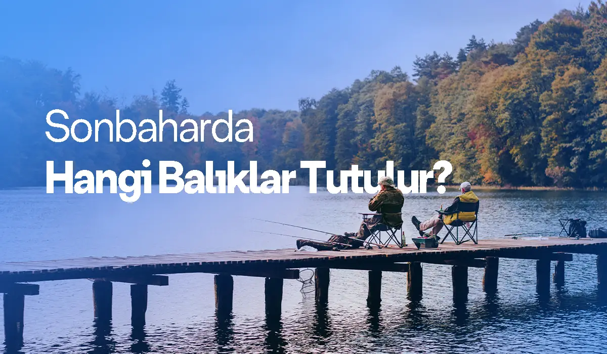 Ekim Ayı Balık Rehberi: Sonbaharda Hangi Balıklar Tutulur?