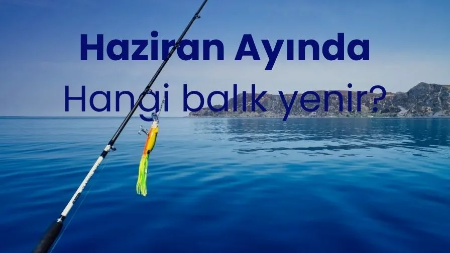 Haziran Ayında Hangi Balık Yenir? (En Lezzetli Yaz Balıkları)